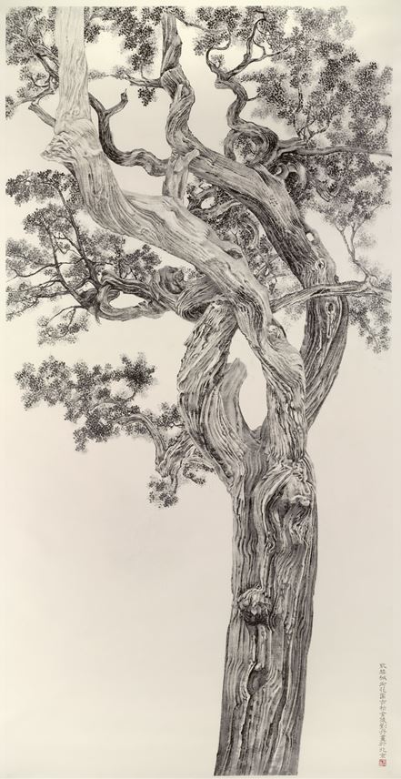 Dan Liu - Old Cypress from the Forbidden City | MasterArt